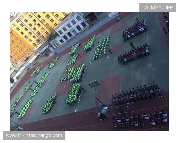 广州极限运动队的拼搏之路：勇敢追梦的青春纪实与奋斗故事