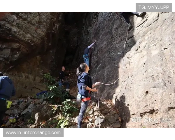 张丽专访：从初学者到攀岩高手的心路历程与成长故事