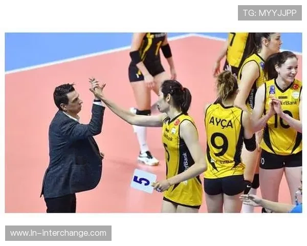 成都排球队的逆袭之旅在奥运会舞台上的辉煌与奋斗故事