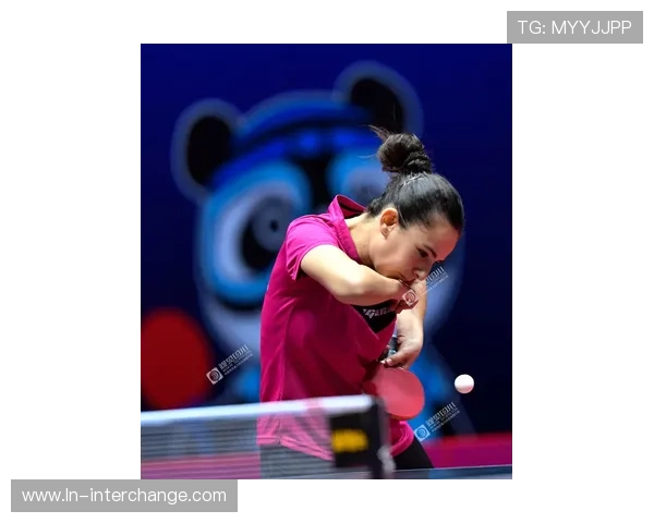 成都乒乓球队的区域防守策略与技术深度解析