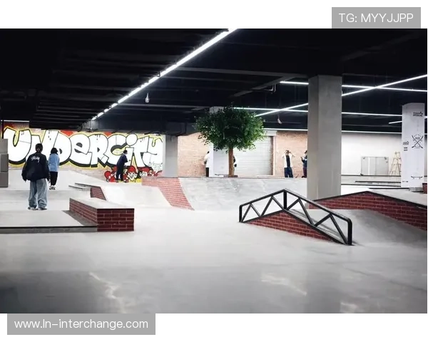 成都滑板队协作之道:探寻团队配合与技巧提升的奥秘 成都滑板队协作之道:探寻团队配合与技巧提升的奥秘