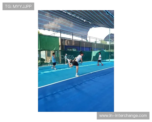 成都网球队包夹战术解析与网球热点动态探讨